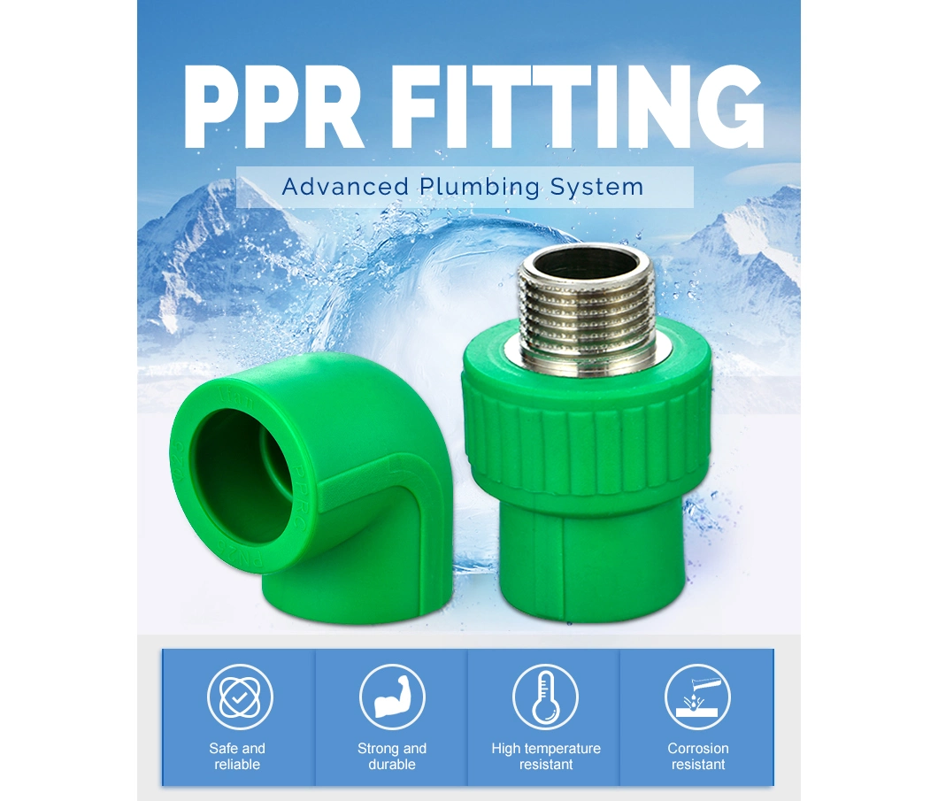 Ifan Customized Threaded Socket PPR Pipe Fitting Plumbing Fitting